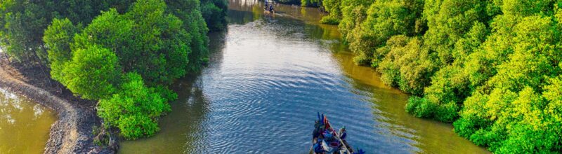Projeto AVANCE - Inovaçao e Desenvolvimento Sustentavel