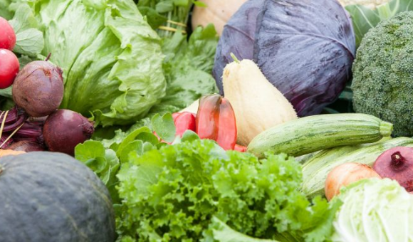FEIRA AGROECOLÓGICA NO PARANOÁ