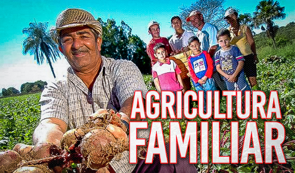 Agricultura Familiar e abastecimento de alimentos em risco no Estado de São Paulo