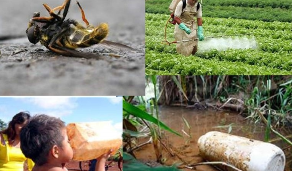 A "Necroagropecuária" do Brasil