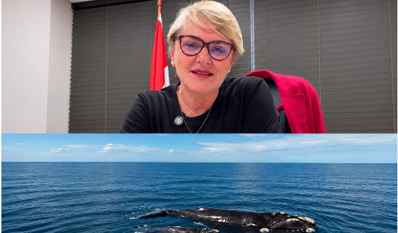 Luciane desmonta mentiras sobre projeto de lei que ameaça APA da Baleia Franca